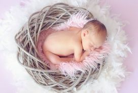 Bebés recién Nacidos de 6 a 8 meses