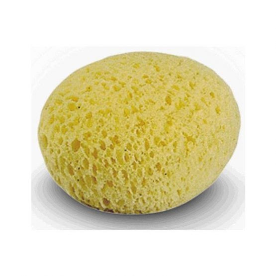 Esponja Hidrofila 2 Unidades de Jane