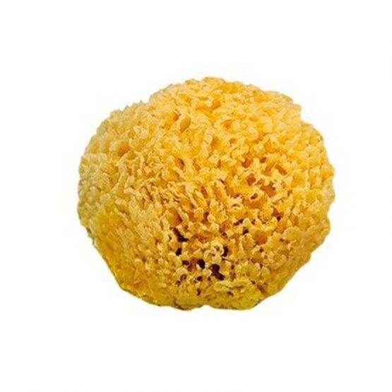 Esponja Natural de Saro