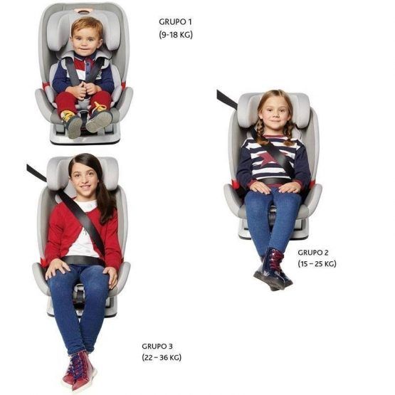 Silla Auto Chicco Youniverse Fix